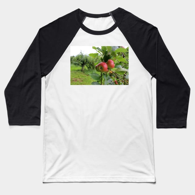 Ripe Red Apples Baseball T-Shirt by pinkal